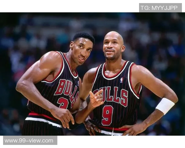 篮球明星敬酒背后的故事与友谊传承探讨