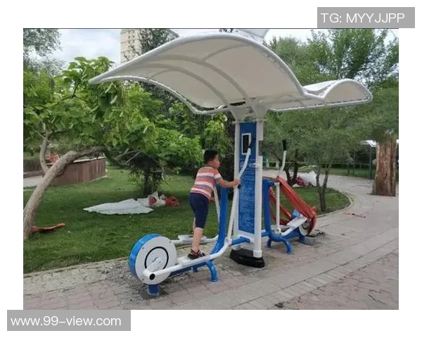 乌鲁木齐健身器材市场分析与发展趋势探讨助力健康生活方式提升